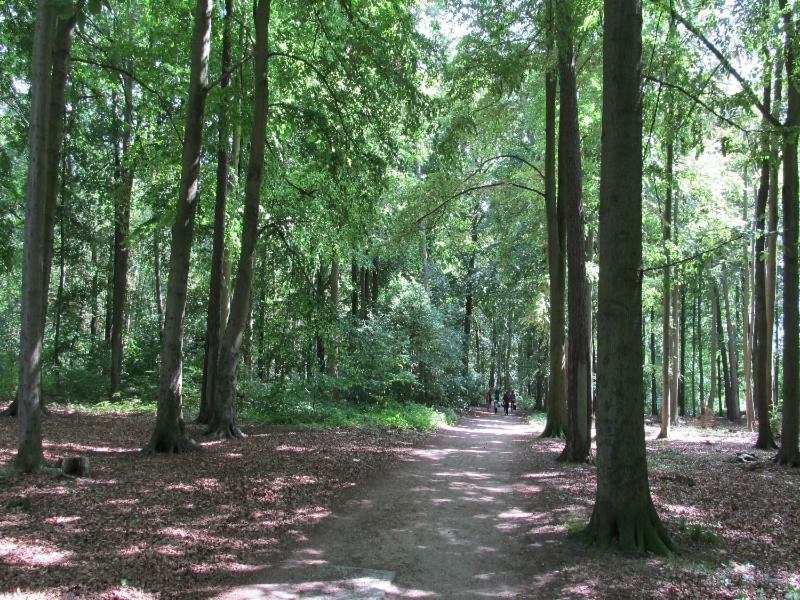 “Haus Am Kuestenwald” Ferienwohnungen Graal-Mueritz Exterior foto